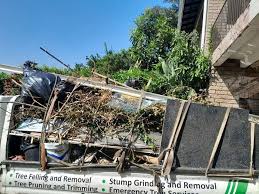 Best Carpet Removal and Disposal  in Bowdon, GA