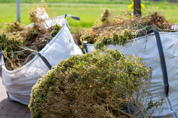Best Electronics and E-Waste Disposal  in Bowdon, GA